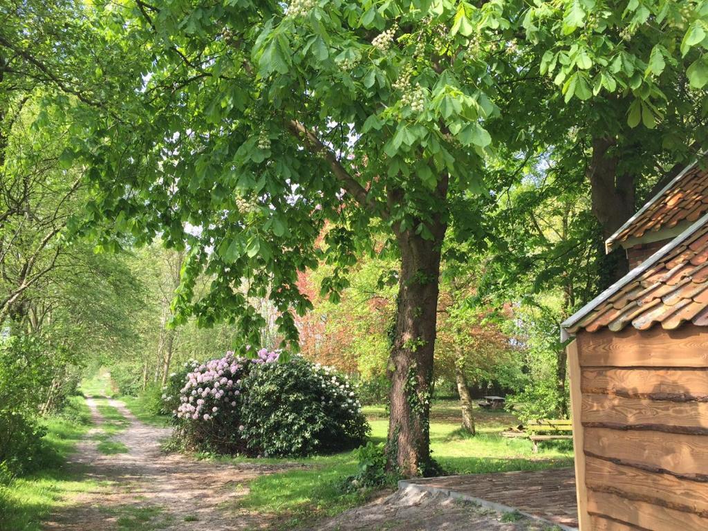 Veenhoes photo 1