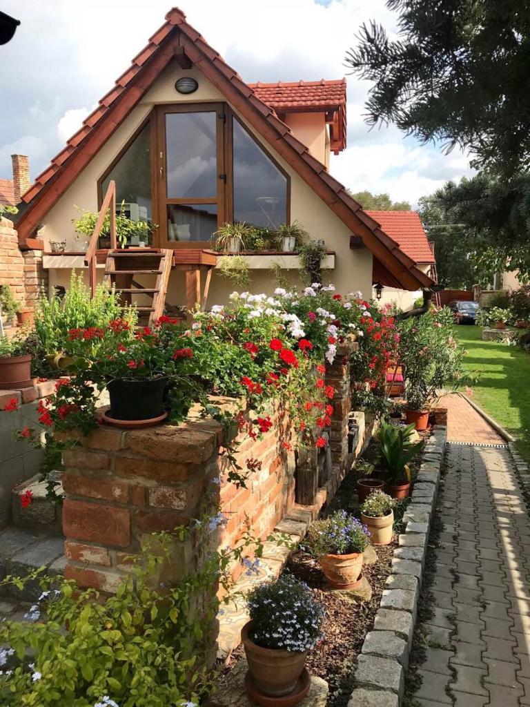Apartmán vinaře / At Winemaker's photo 4