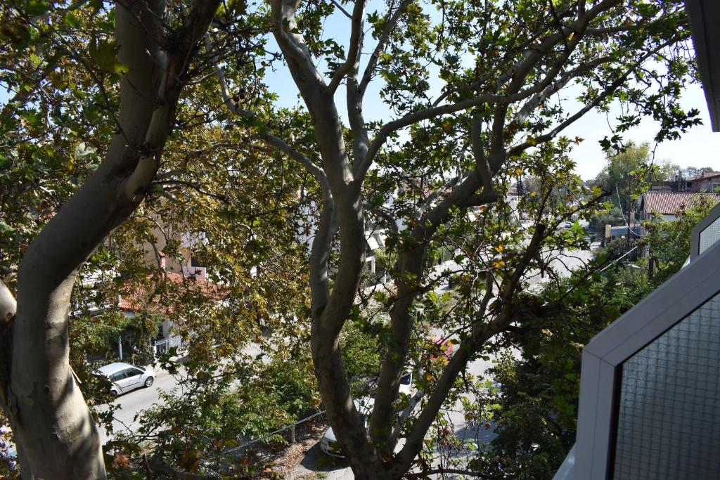 Galanis Studios and Apartments photo 2