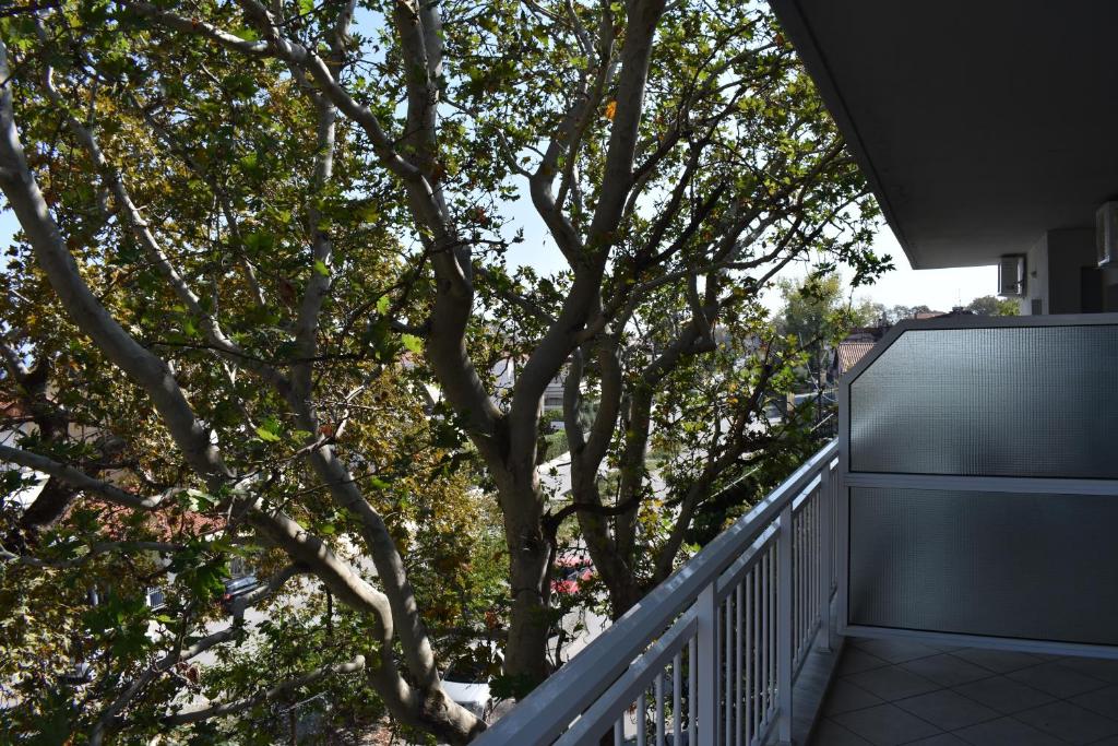 Galanis Studios and Apartments photo 3