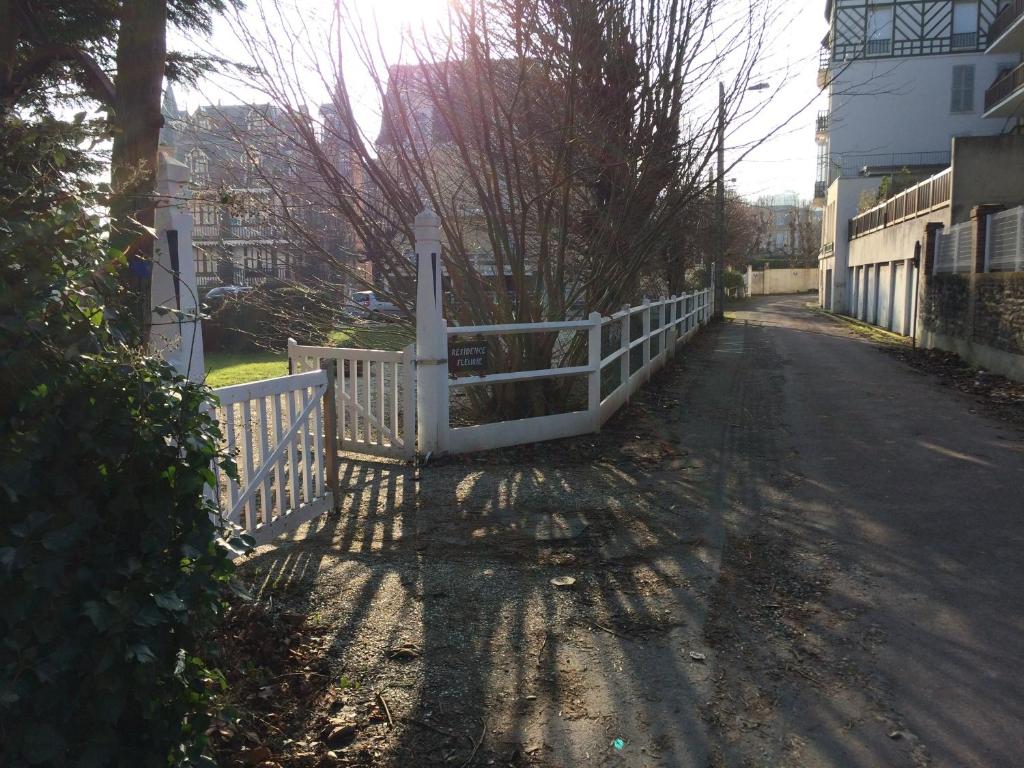 Plage et centre photo 3