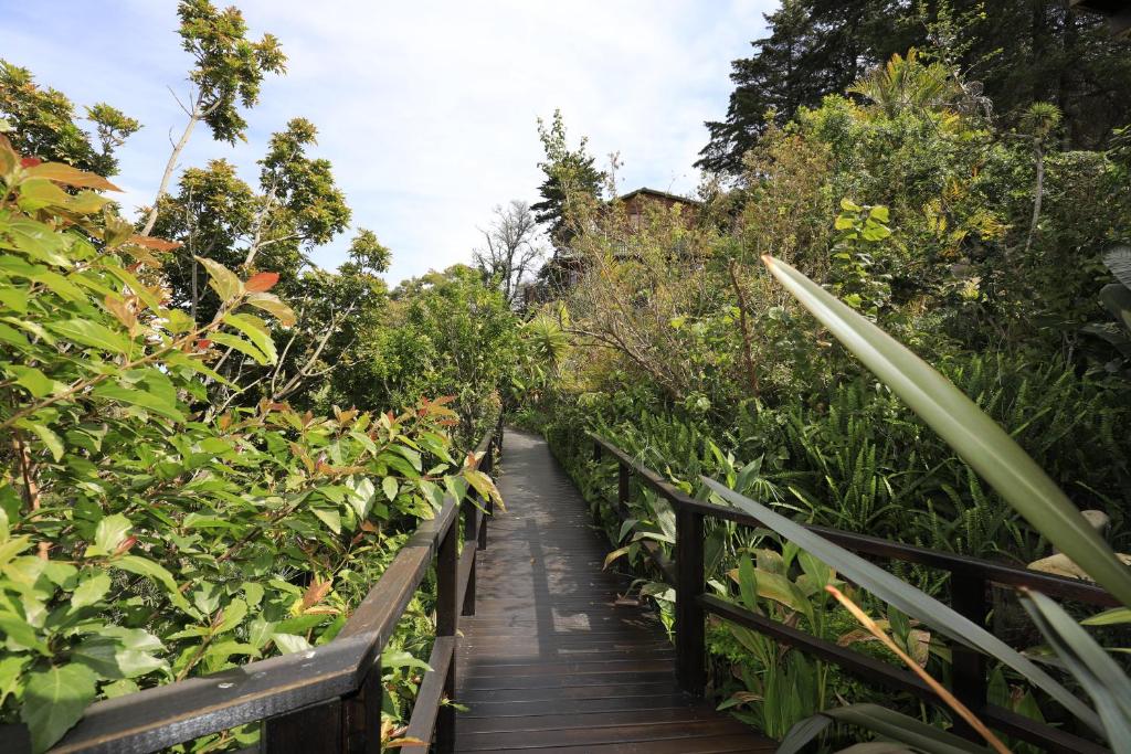 Big Tree House Lodge photo 2