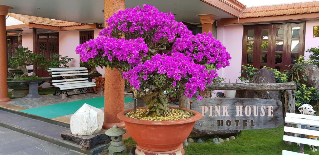 Villa Pink House photo 3