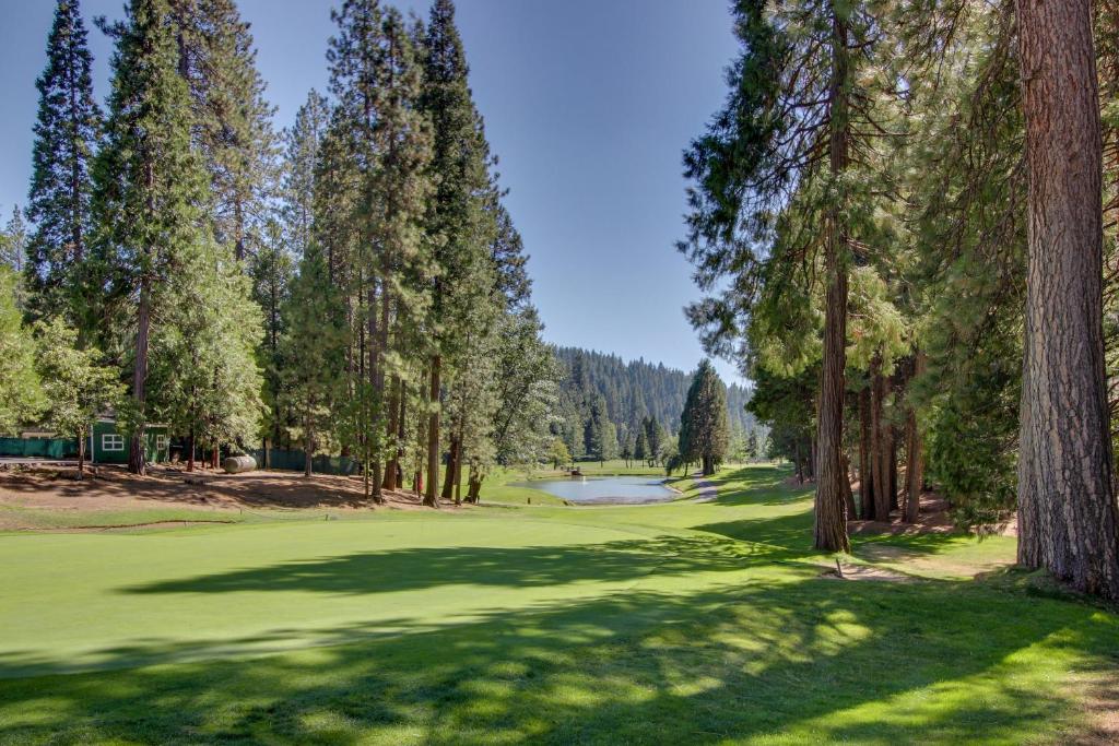 Bears Meadow photo 2