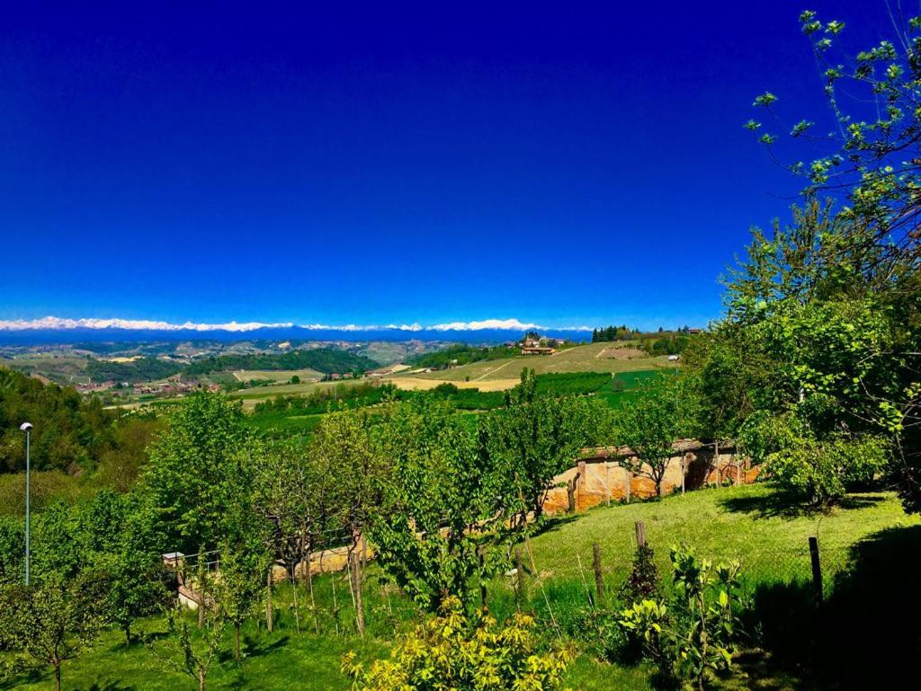 Cascina Cortine photo 1