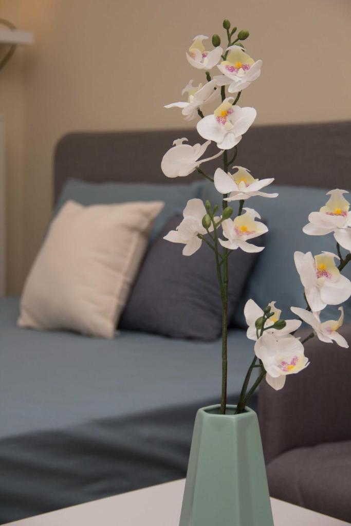 Nikoletta's home photo 4