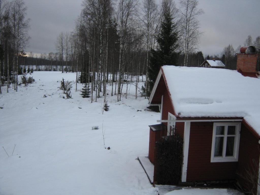 Romme nara Romme Alpin photo 1
