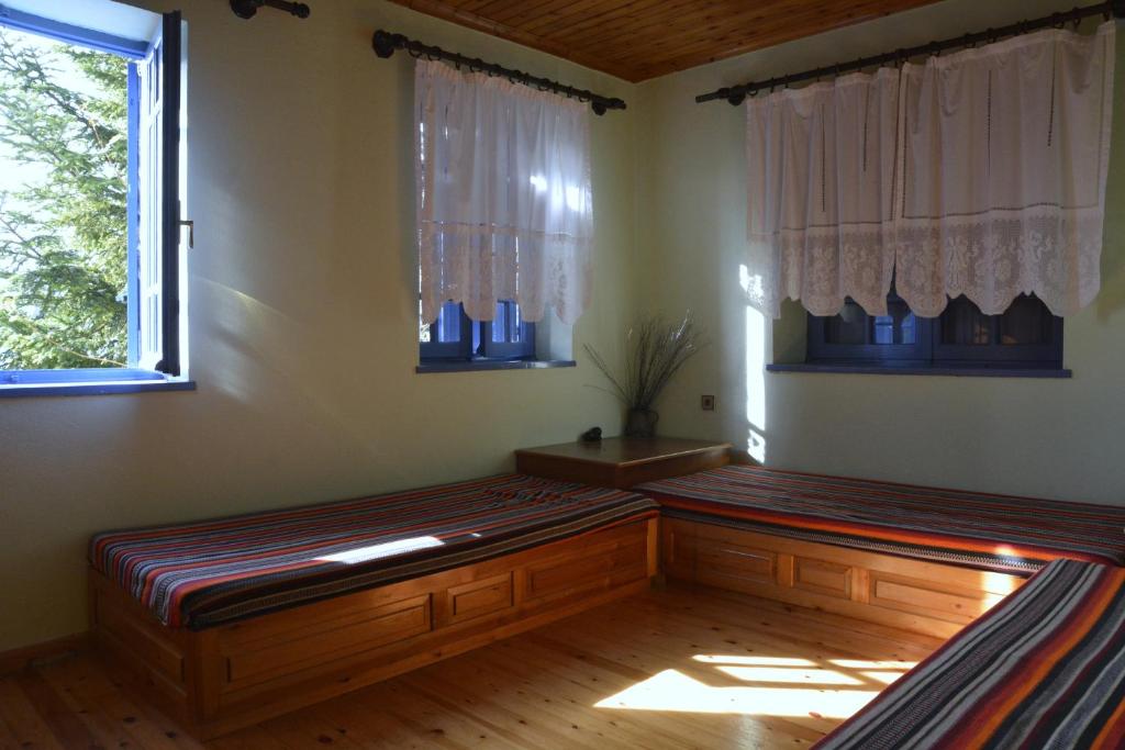 Petroto house photo 3