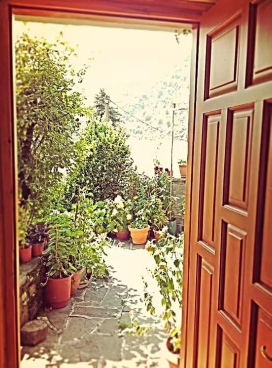 Guesthouse Gouris photo 4