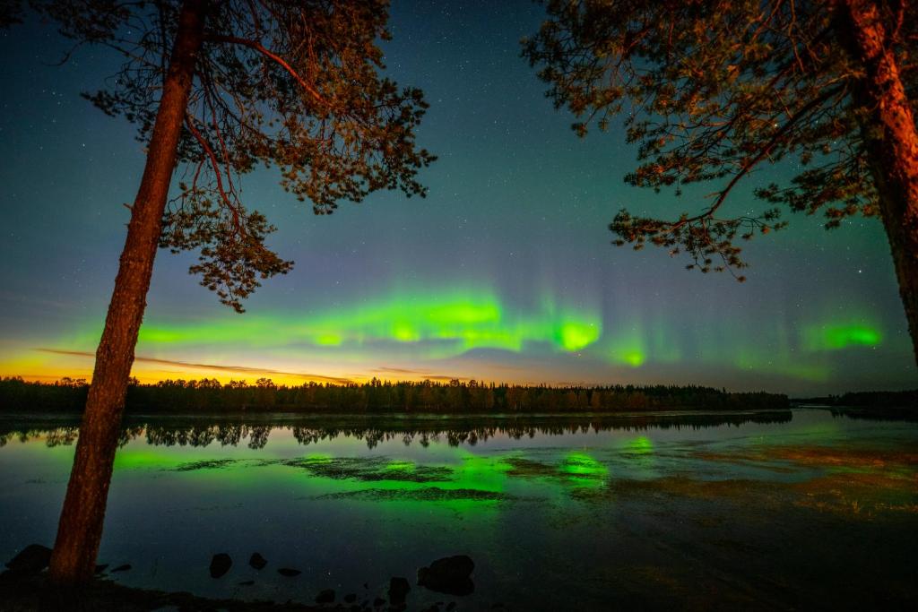 Arctic River Lodge photo 4