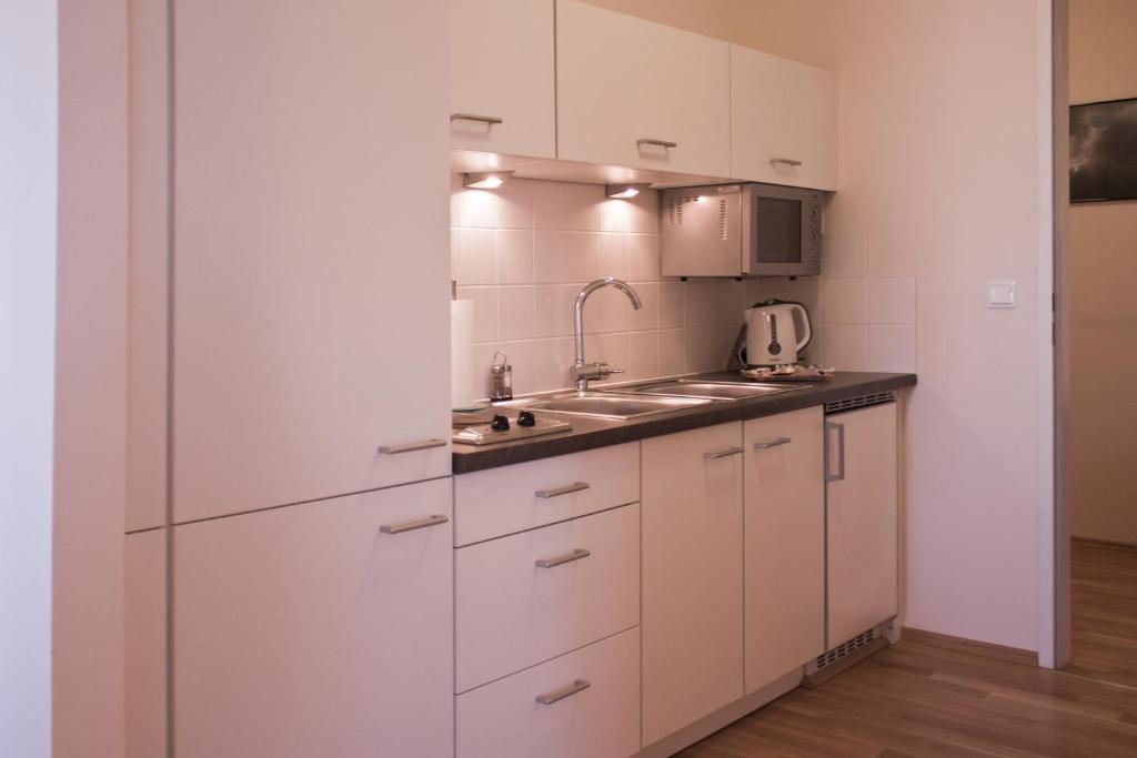 Апартаменты (Улучшенные двухместные апартаменты с 1 кроватью), Sky Apartments Vienna