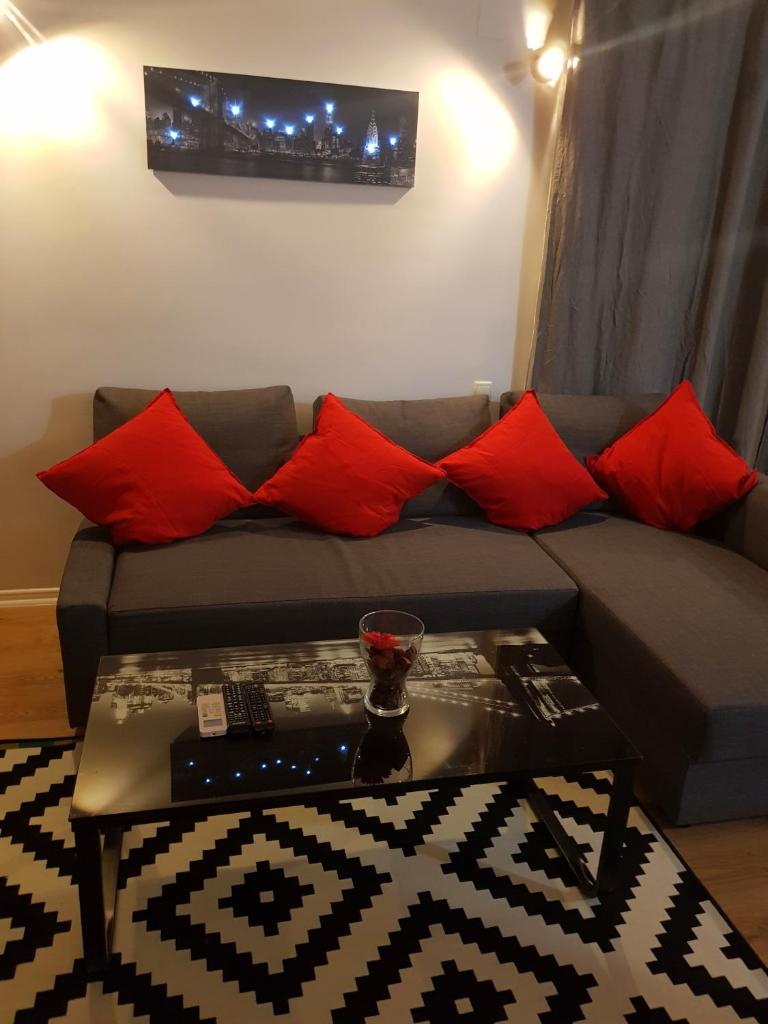 Modern apartment with pool in North Bucharest photo 4