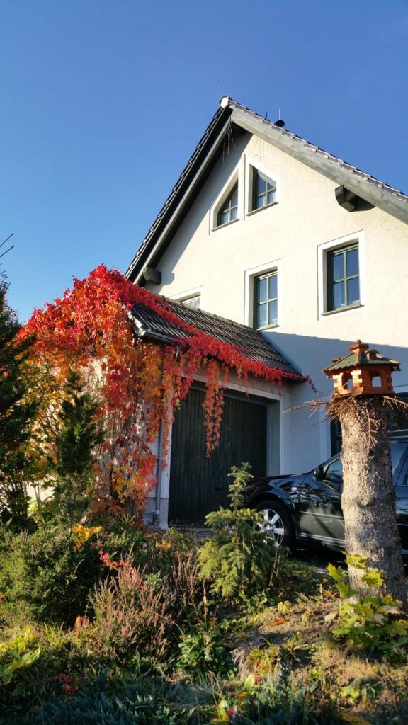 "Heiterer Blick" photo 1