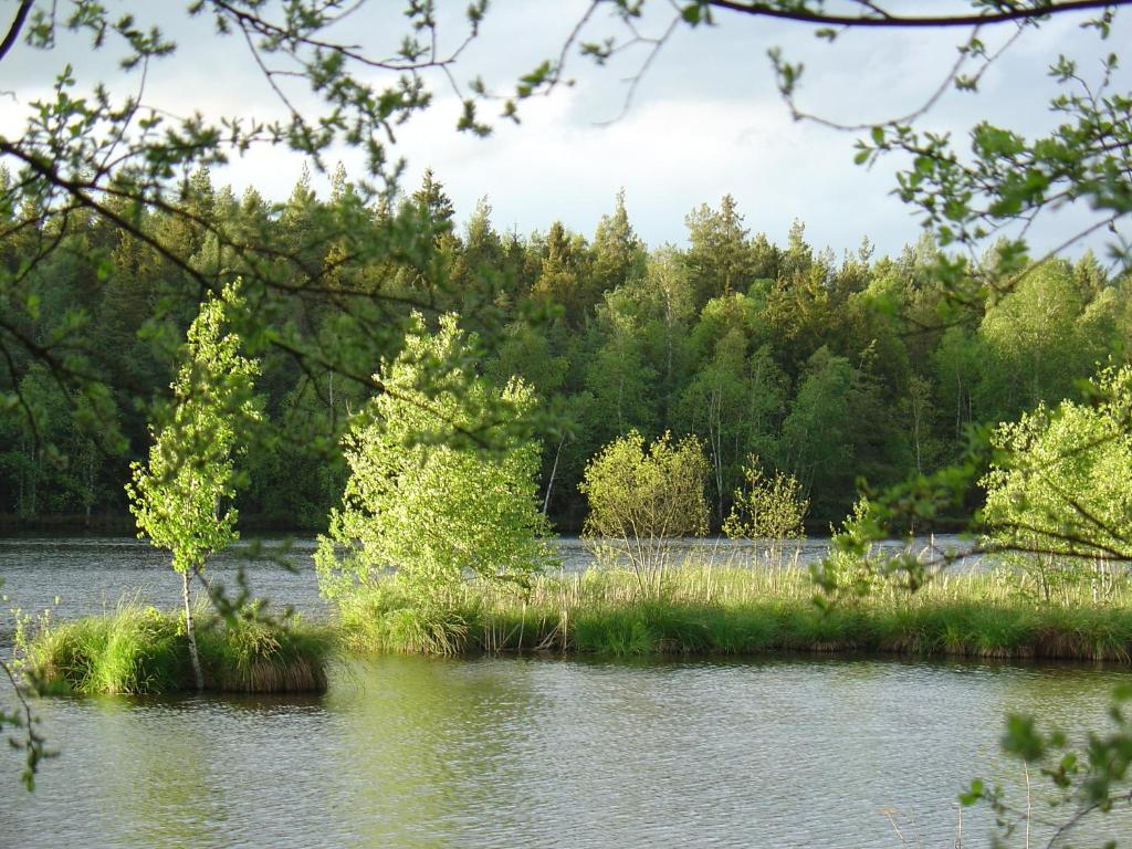 Двухместный (Улучшенный двухместный номер с 1 кроватью), Landhotel Alte Mühle