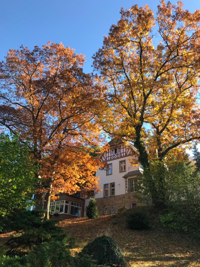 Waldhotel Bad Münstereifel photo 1