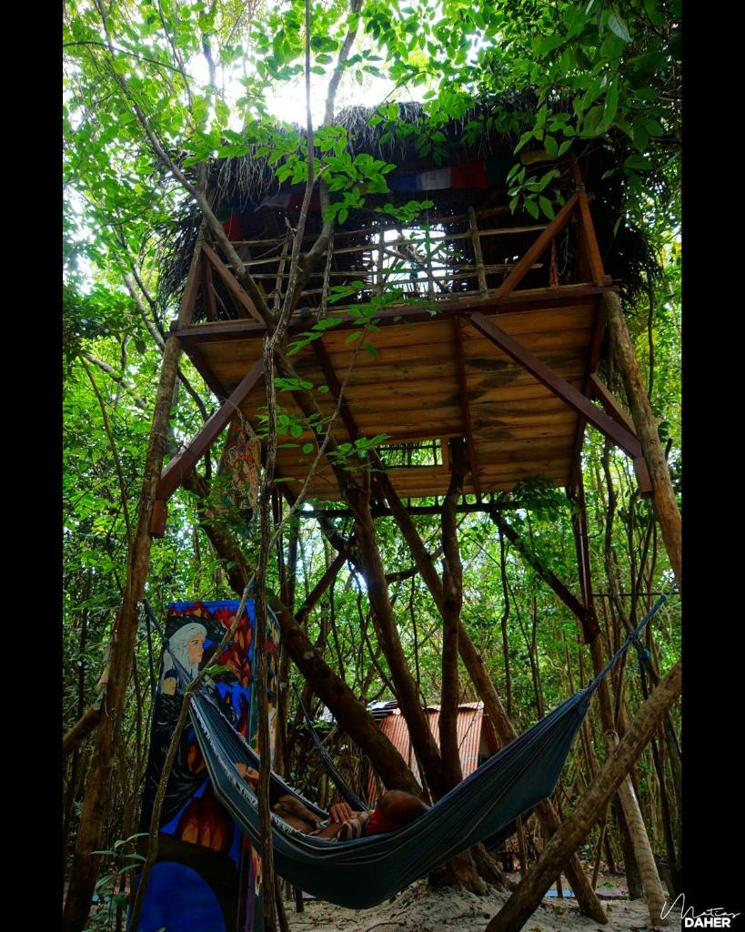 Lagarto Na Banana Hostel photo 3