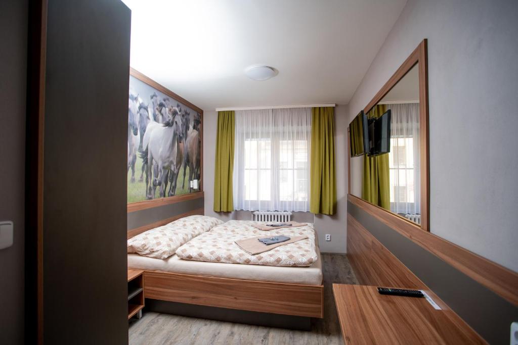 Hotel U koně photo 2