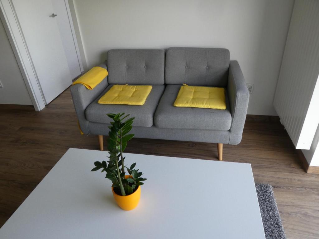Апартаменты (Апартаменты), Apartament Cube