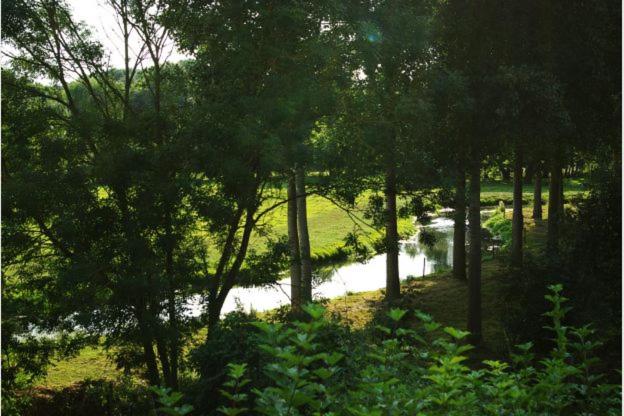 Charmes de Velupont with Wellness photo 2