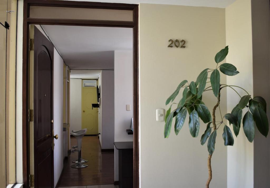 Cayma’s Apart photo 1