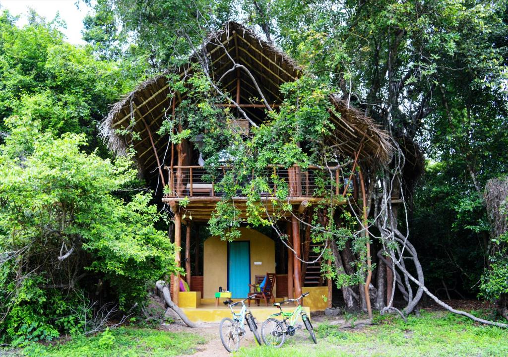Back of Beyond - Wild Haven photo 2