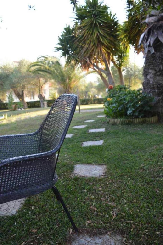 Sunny Garden photo 1