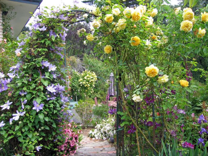 McAuley Glen Boutique B&B photo 4