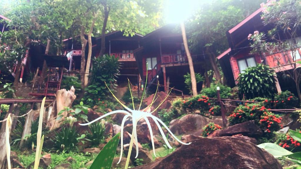 Двухместный (Двухместный номер Делюкс с 1 кроватью), Maney Resort