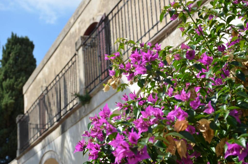 Villa Alchea Locazione Turistica photo 3