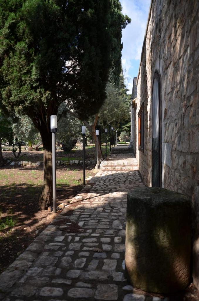 Villa Alchea Locazione Turistica photo 4