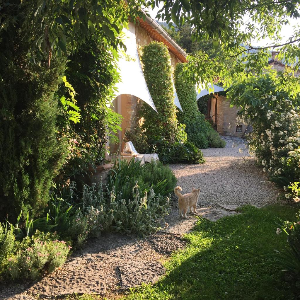 CalVenere photo 3