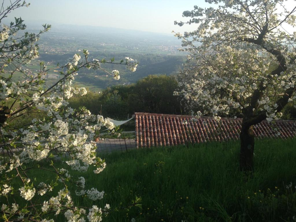 CalVenere photo 1