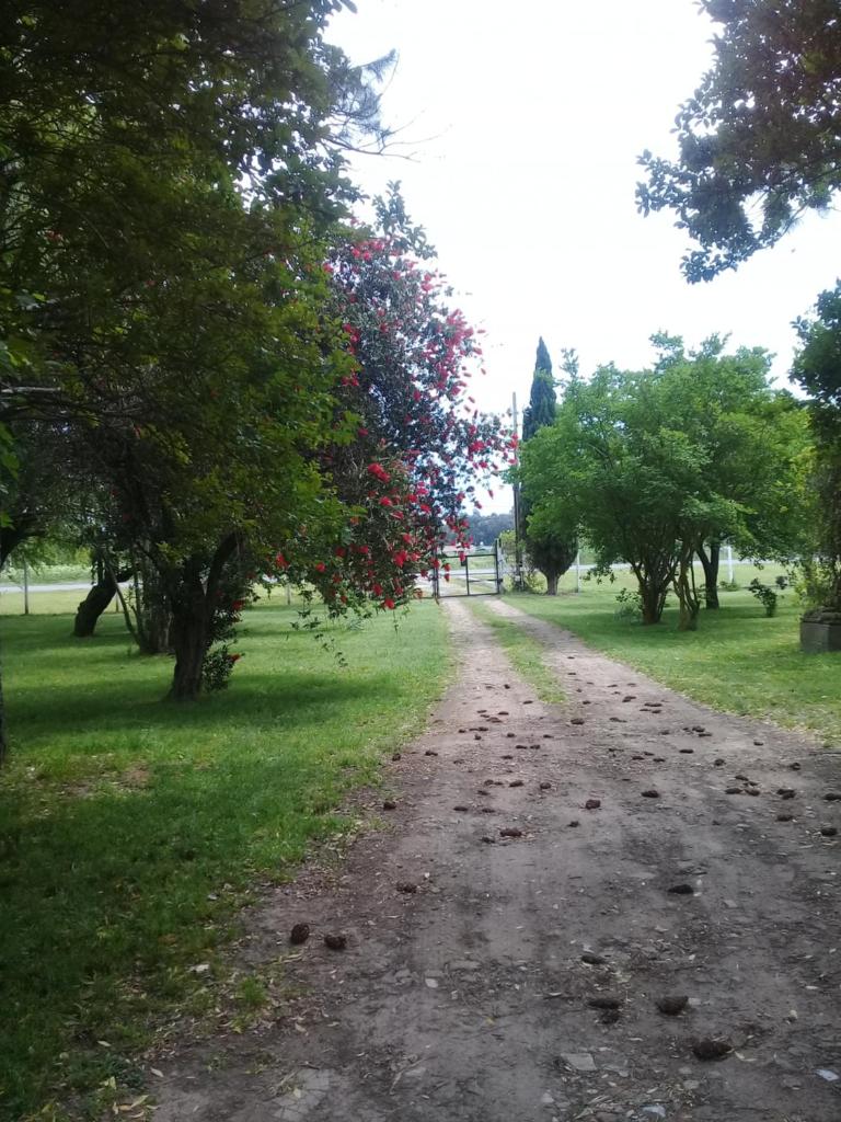 La María photo 4