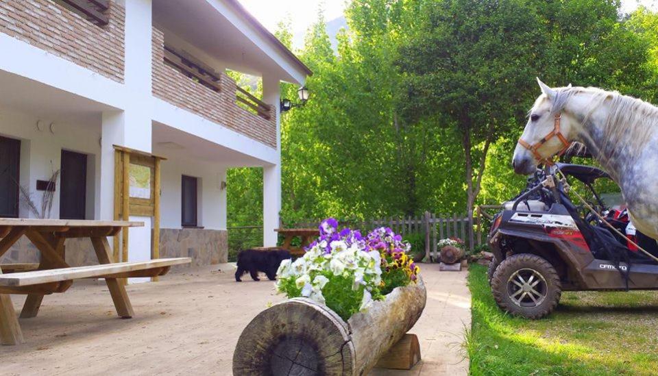 El Carrascal, 2 Llaves, Rural photo 2