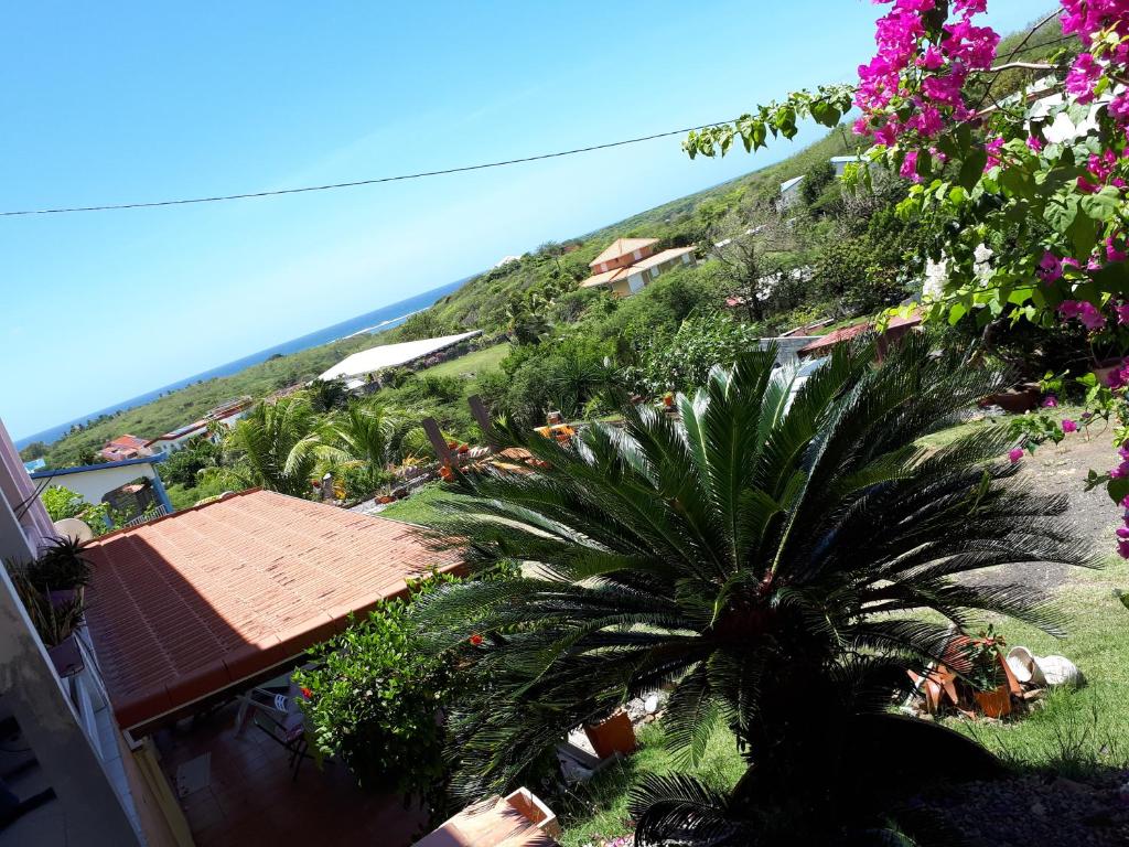 Appartement Vacances Goyave photo 1
