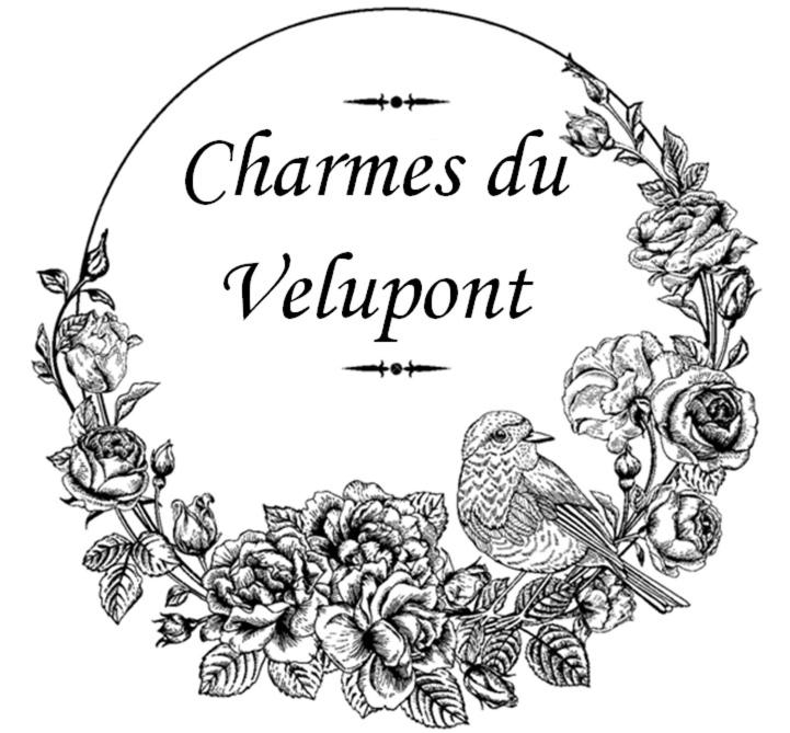 Charmes de Velupont with Wellness photo 3