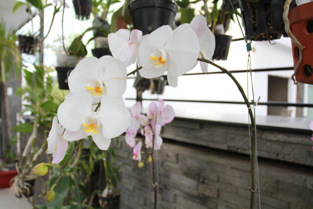 Khách Sạn Ngọc Minh