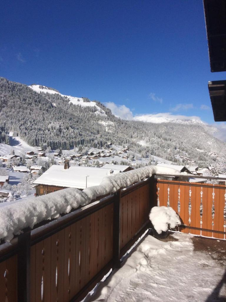 Chalet-Hôtel du Borderan photo 3