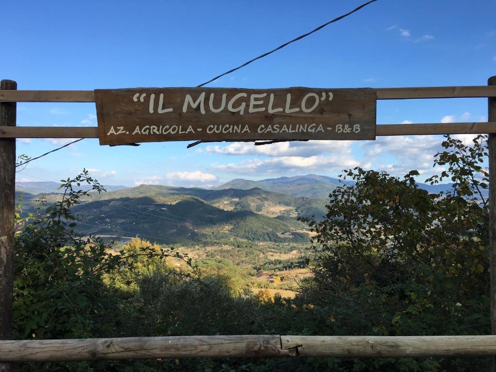 Il Mugello B&B photo 1