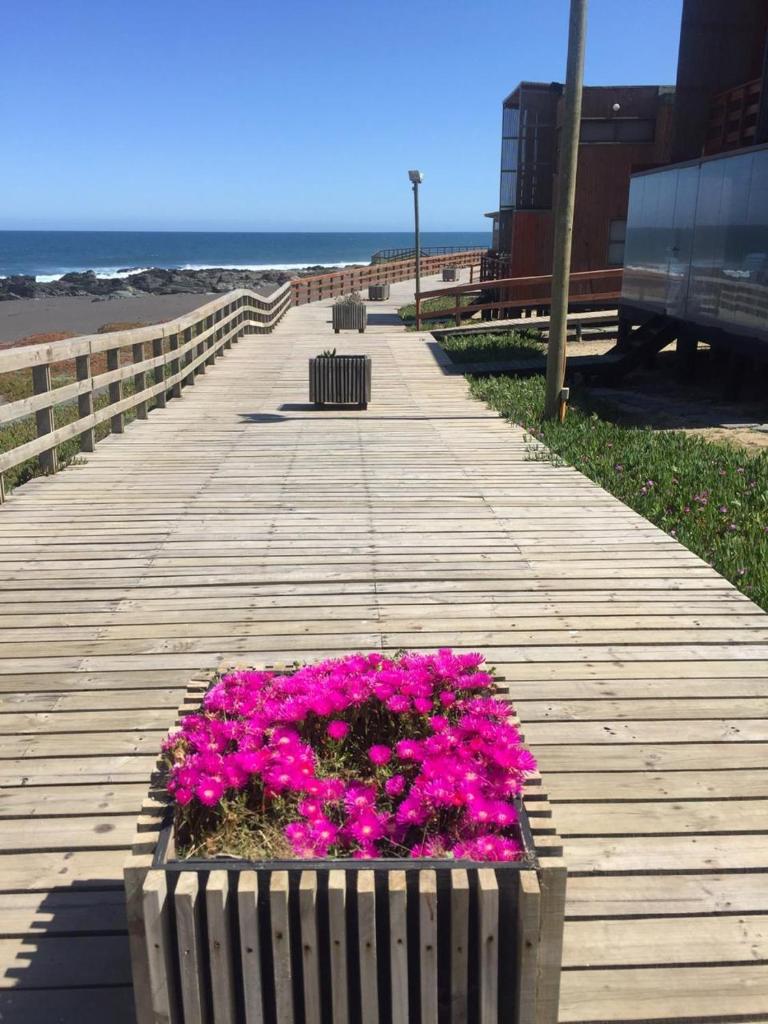 Pichilemu Loft 51 photo 4