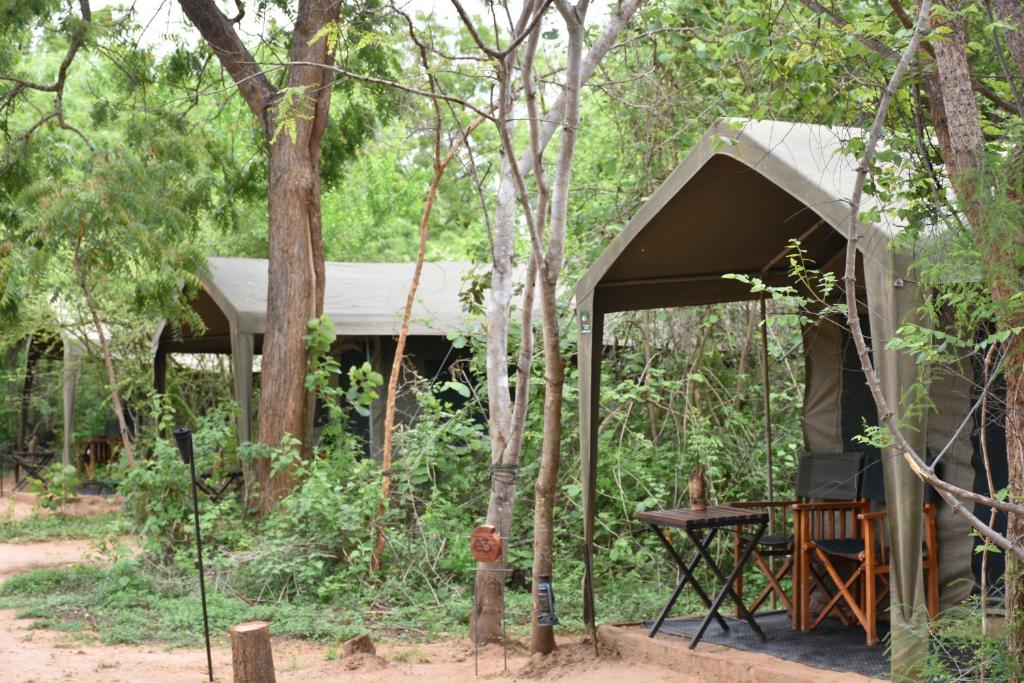 Big Game - Yala by Eco Team photo 1