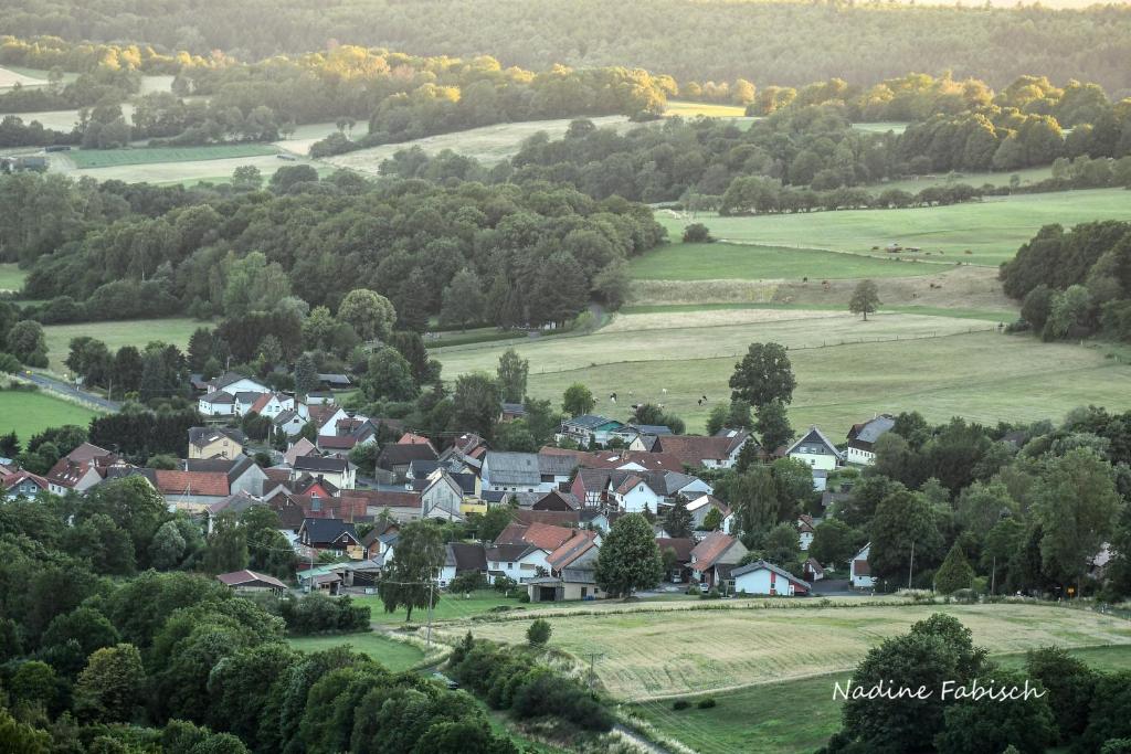 Ferienwohung mit Blick auf die Pferdekoppel photo 1