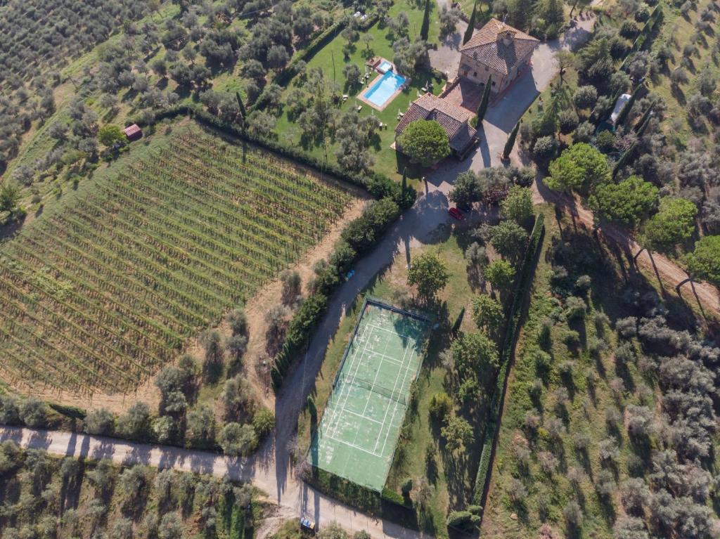 Fattoria Querceto photo 2