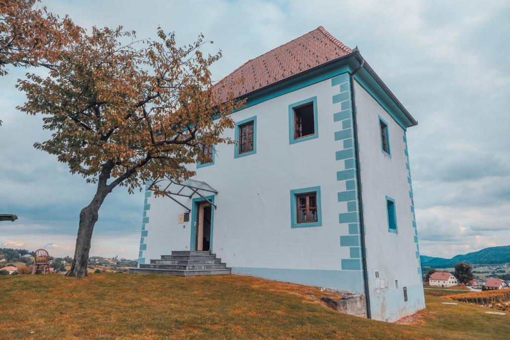 Wine Grower's Mansion Zlati Gric photo 2