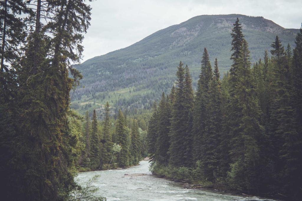 Panorama Vacation Retreat at Horsethief Lodge photo 4