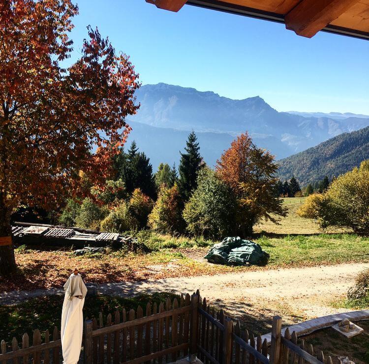 Chalet Lagorai photo 4