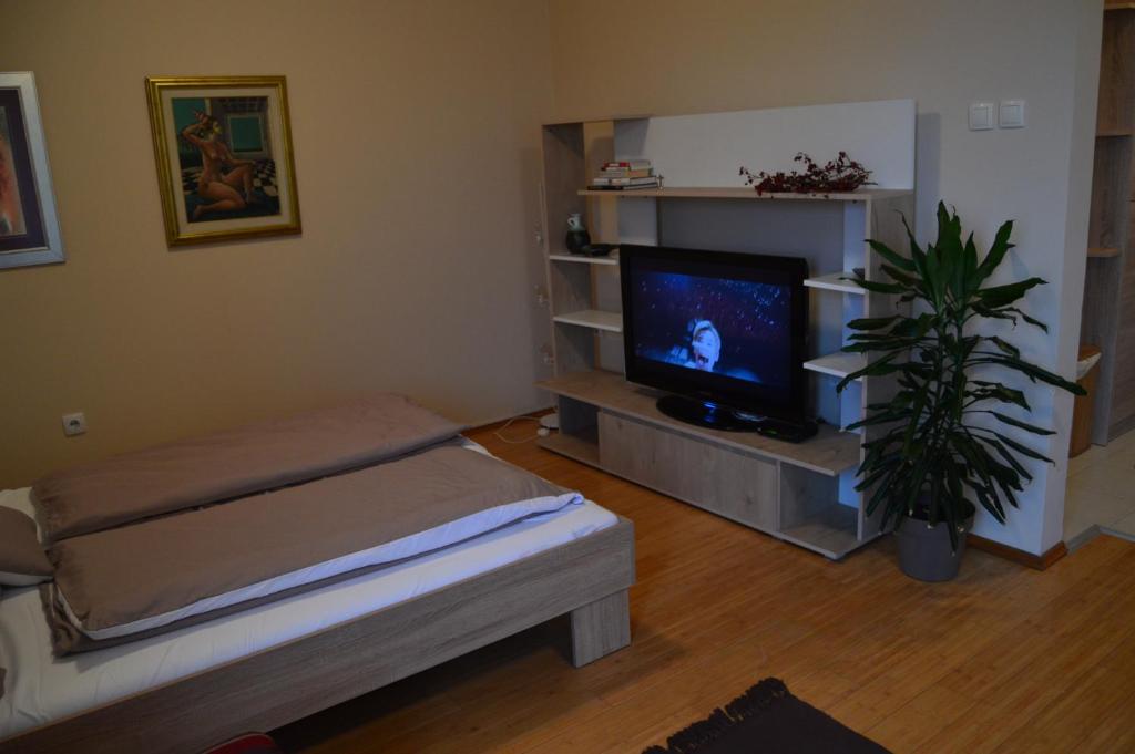 Apartman Mile photo 4