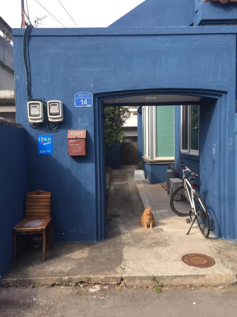 Jeju Guesthouse photo 1