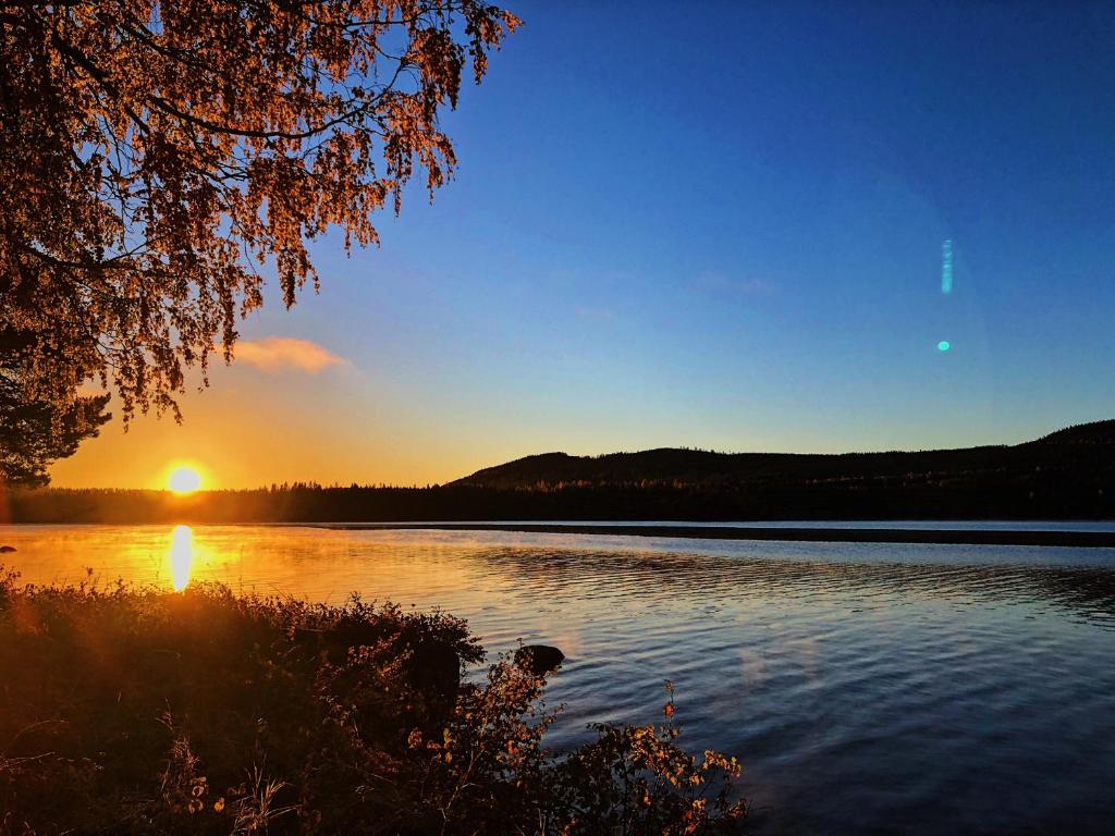 Vildmarks Lodge photo 3