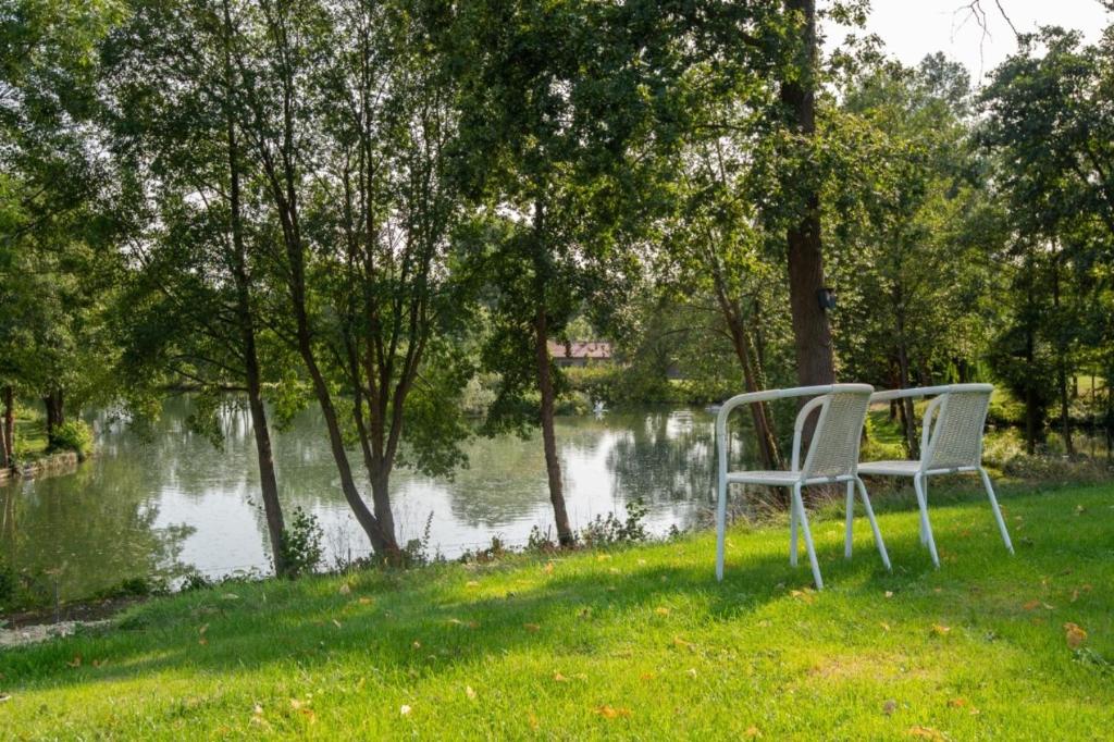 De Gouden Forel photo 3